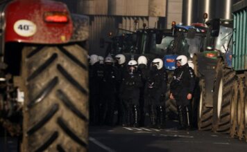 agrotes 9 1200x630.jpg