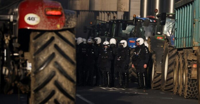 agrotes 9 1200x630.jpg