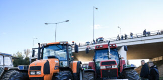 agrotes eurok 1 1200x630.jpg