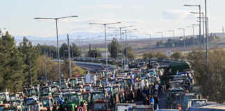 agrotes eurok 1200x630.jpg