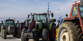 agrotes eurok 2 2 1200x630.jpg