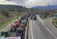 agrotes eurok 4 1200x630.jpg