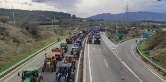 agrotes eurok 4 1200x630.jpg