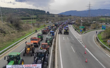 agrotes eurok 4 1200x630.jpg