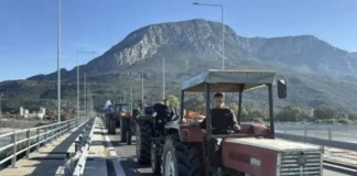 agrotes gefira euinou 1200x675 1.webp.webp