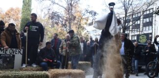 agrotes larisa 1 1 1200x630.jpg