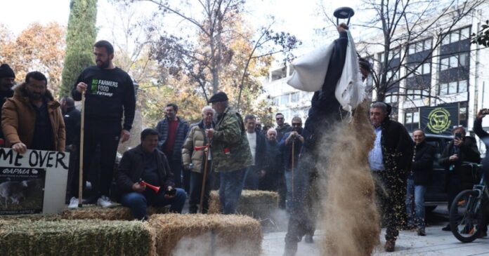 agrotes larisa 1 1 1200x630.jpg