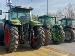 agrotes malgara 1200x630.jpeg