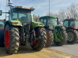 agrotes malgara 1200x675 1 1200x630.jpeg