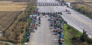 agrotes malgara 3 1200x630.jpg