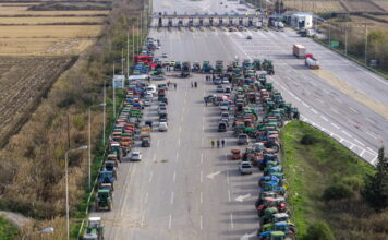 agrotes malgara 3 1200x630.jpg