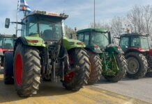 agrotes malgara3 1200x630.jpeg