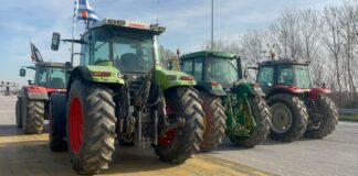 agrotes malgara3 1200x630.jpeg