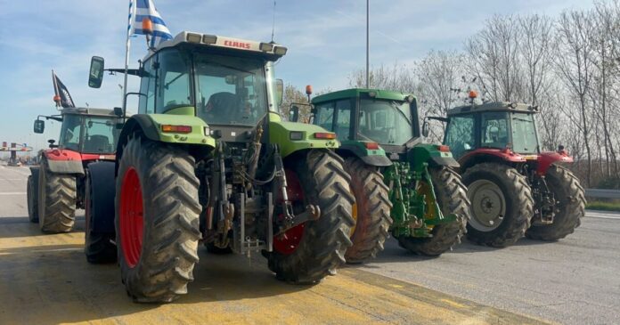 agrotes malgara3 1200x630.jpeg