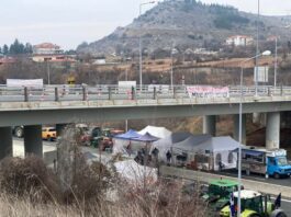 agrotes mploka3 1200x630.jpg