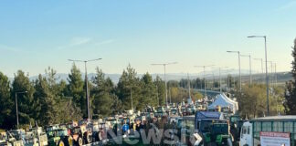 agrotes mploko 6 1200x630.jpg