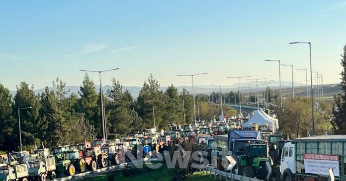 agrotes mploko 6 1200x630.jpg