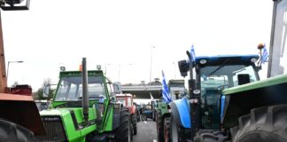 agrotes nikaia 1 1200x630.jpg