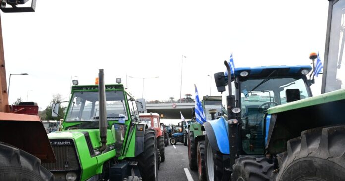 agrotes nikaia 1 1200x630.jpg agrotes nikaia 1 1200x630.jpg