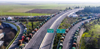 agrotes nikaia 2 1200x630.jpg