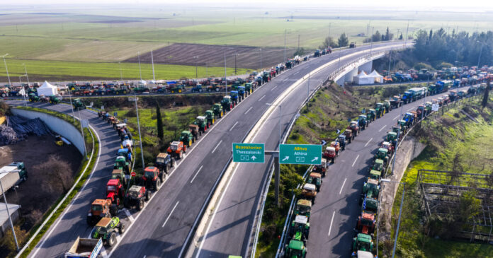 agrotes nikaia 2 1200x630.jpg