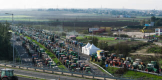 agrotes nikaia larisa mploko eurok1 1200x630.jpg