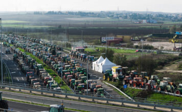 agrotes nikaia larisa mploko eurok1 1200x630.jpg