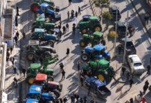 agrotes thess eurok 1200x630.jpg