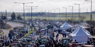 agrotes trakter 1 1 1200x630.jpg