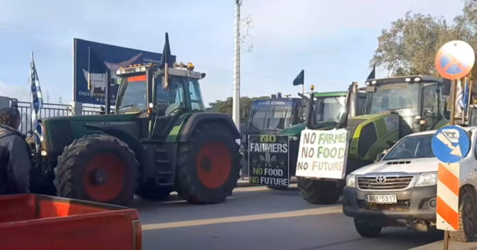 agrotes volos1 1200x630.jpg agrotes volos1 1200x630.jpg