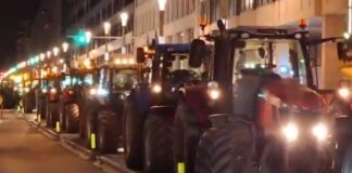 agrotes vruxelles 1200x630.jpg