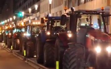 agrotes vruxelles 1200x630.jpg