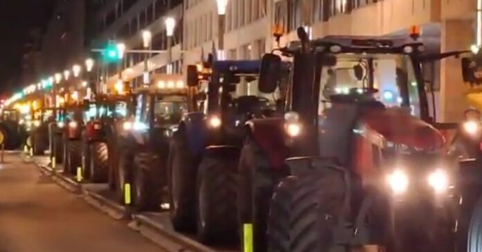 agrotes vruxelles 1200x630.jpg agrotes vruxelles 1200x630.jpg