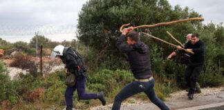 agrotes xania3 1200x630.jpg