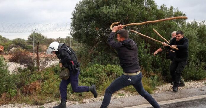 agrotes xania3 1200x630.jpg agrotes xania3 1200x630.jpg