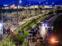 agrotes1 08122025 1200x630.jpg