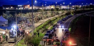 agrotes1 08122025 1200x630.jpg