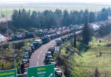 agrotes1 22122025 1200x630.jpg