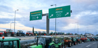 agrotes12 1200x630.jpg