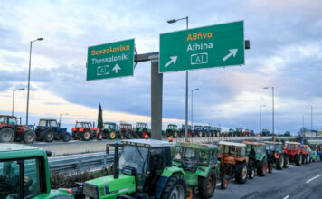 agrotes12 1200x630.jpg