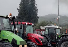 Αγρότες και κτηνοτρόφοι έστησαν μπλόκα κλείνοντας την Πατρών – Κορίνθου, αποκλεισμένα τα τελωνεία Προμαχώνα, Ευζώνων και Εξοχής agrotes2 05122025 1200x630.jpg