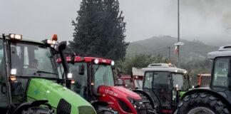 agrotes2 05122025 1200x630.jpg