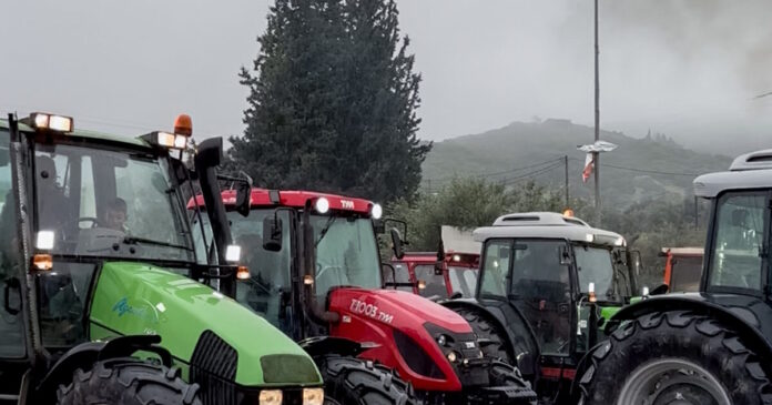 agrotes2 05122025 1200x630.jpg