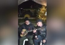 agrotes2 2 1200x630.jpg