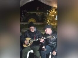 agrotes2 2 1200x630.jpg