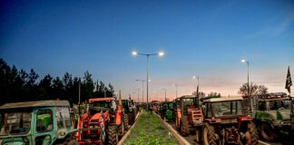 agrotes3 01122025 1200x630.jpg