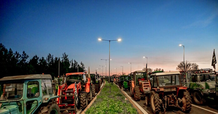 agrotes3 01122025 1200x630.jpg