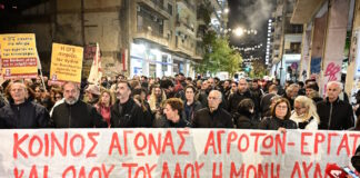 agrotes3 08122025 1200x630.jpg