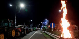 agrotes4 08122025 1200x630.jpg