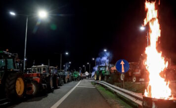 agrotes4 08122025 1200x630.jpg